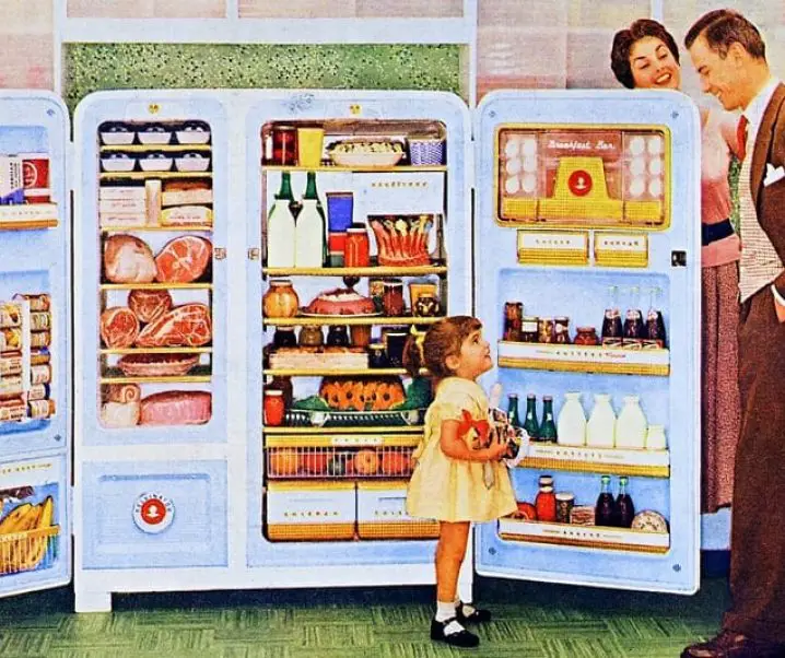 como organizar sua geladeira