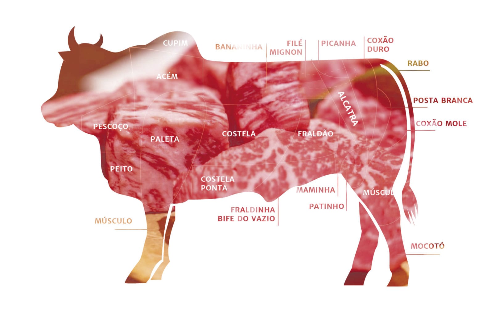 Dicas sobre cortes de carne bovina