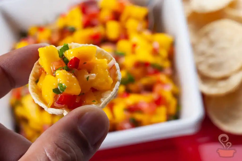 Salsa de Manga