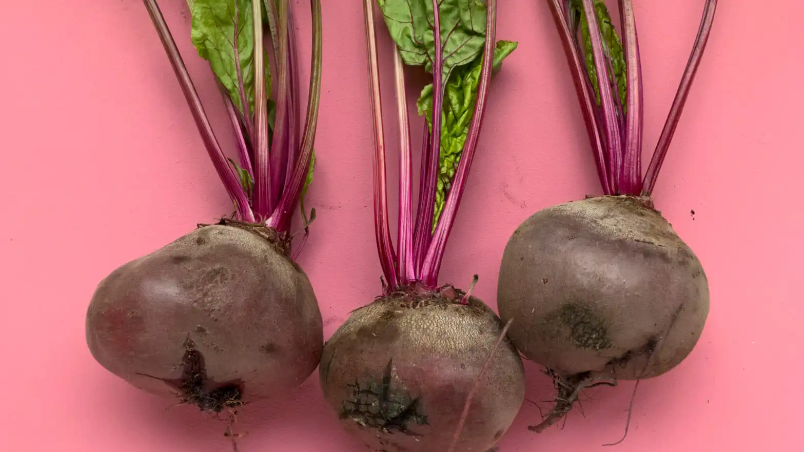 Beterraba
