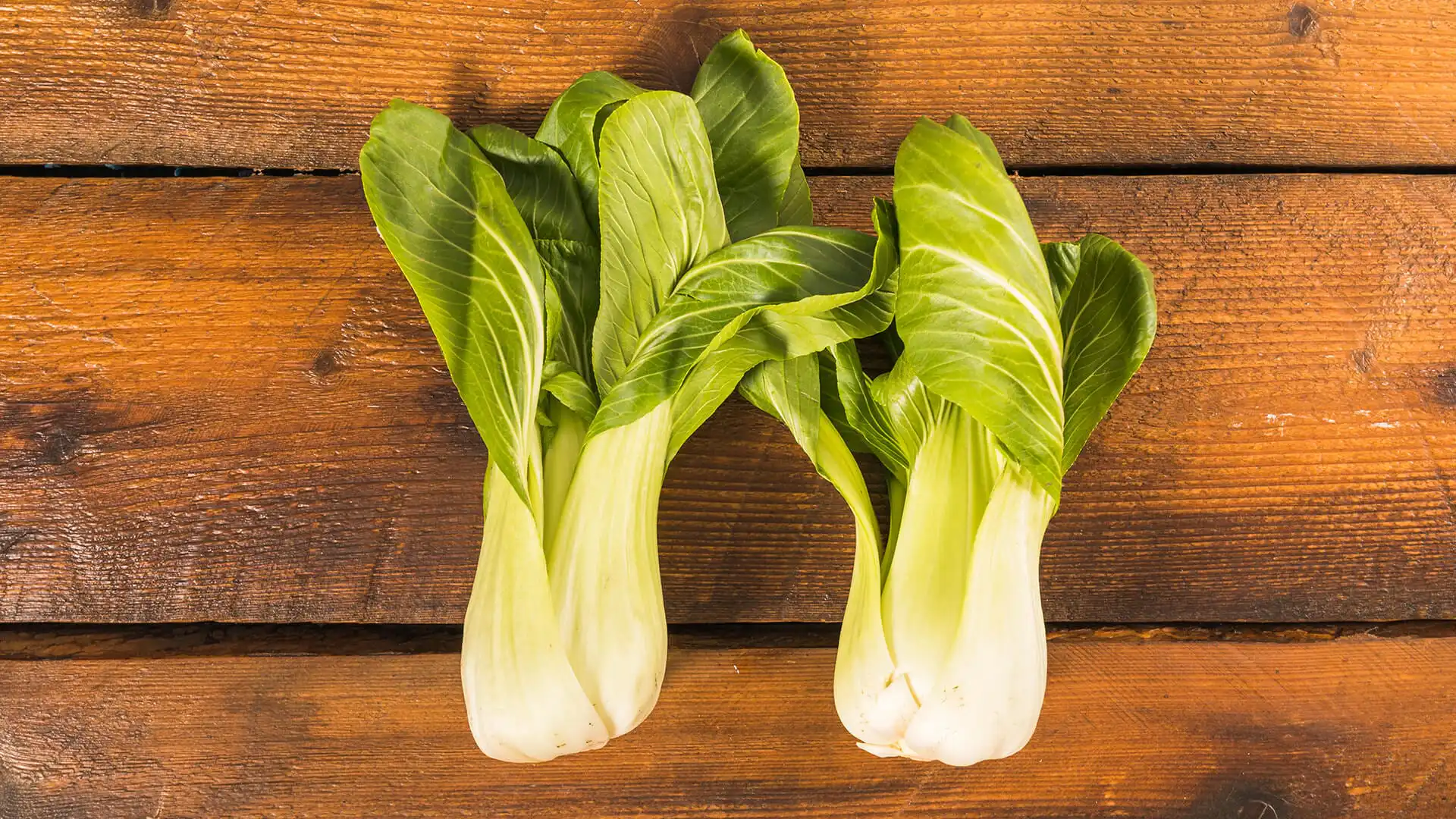 Safra março Safra março