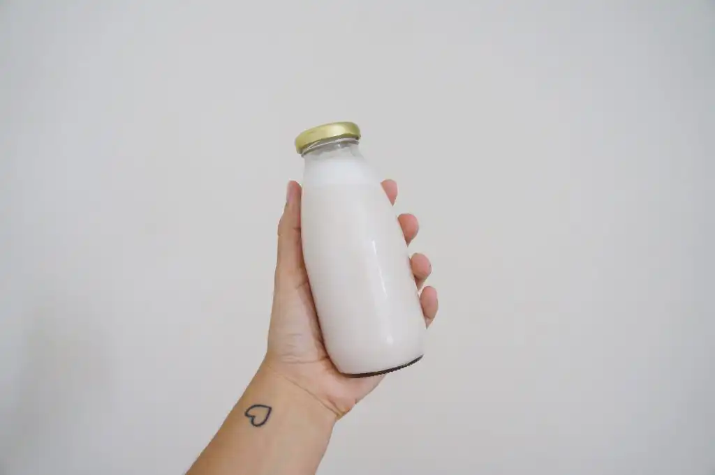 Como fazer leites vegetais Como fazer leites vegetais