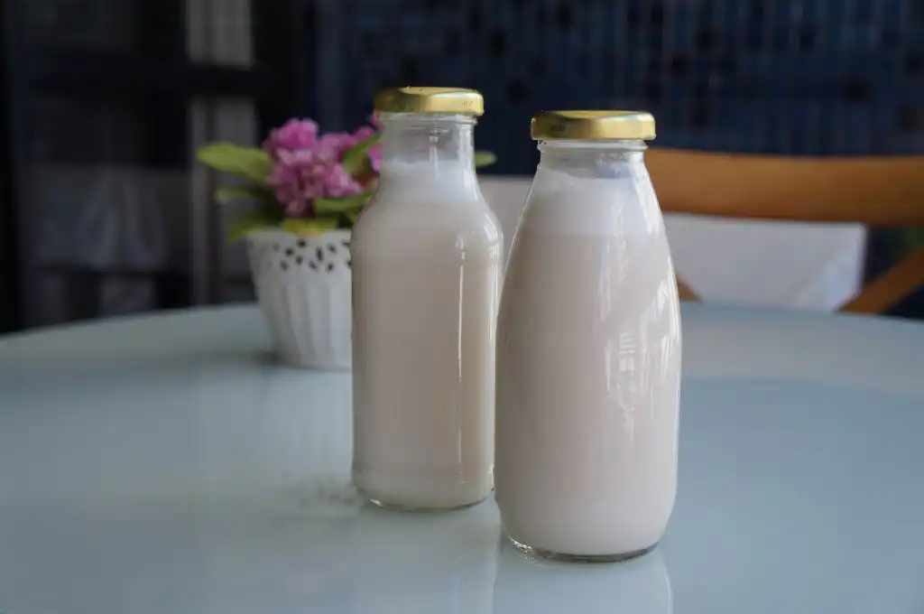 Como fazer leites vegetais Como fazer leites vegetais