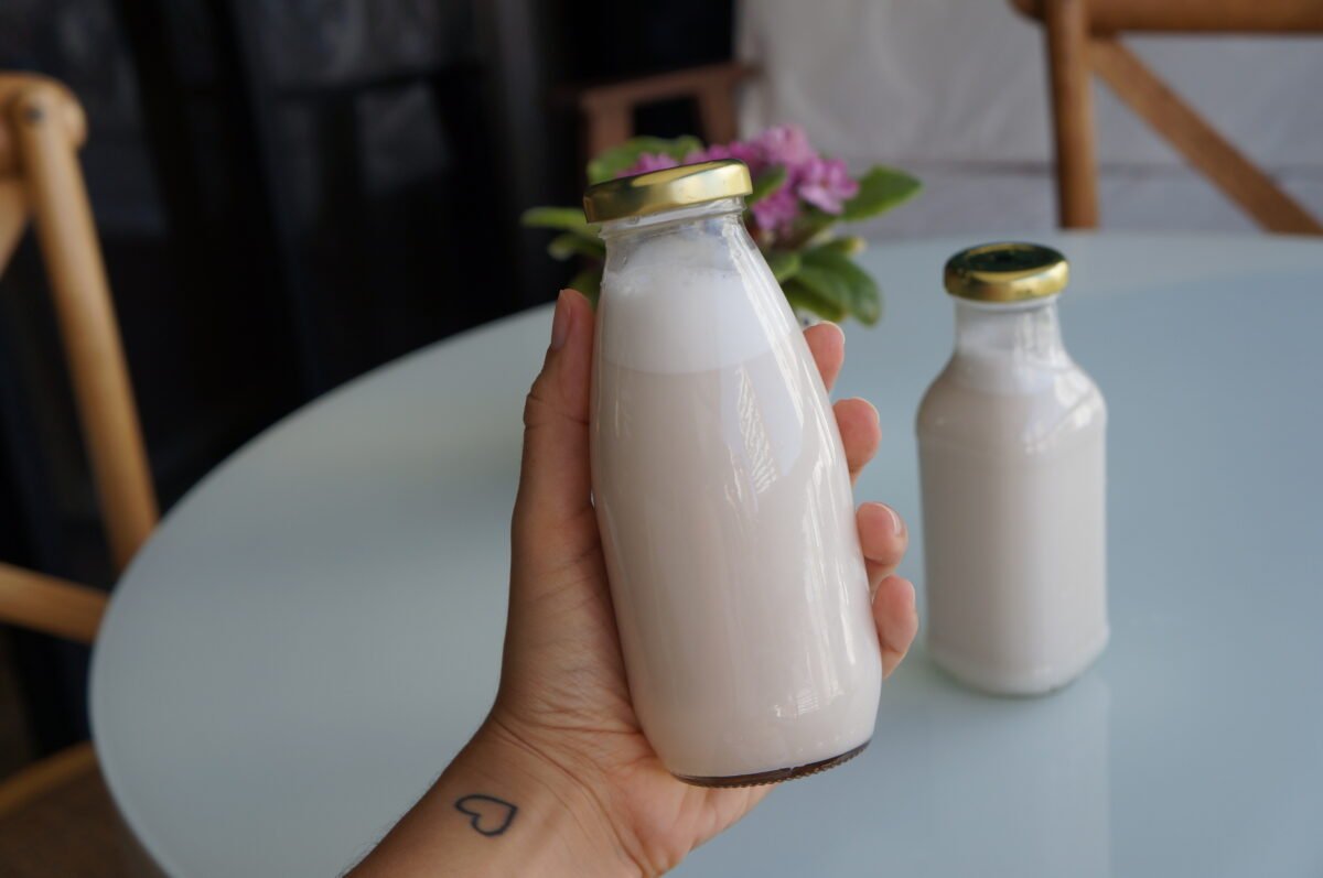 Como fazer leites vegetais