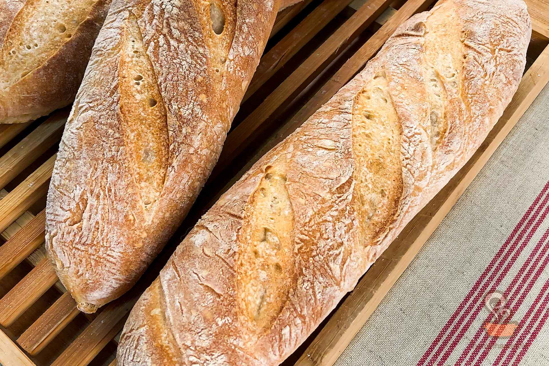 Como fazer pão francês - naminhapanela.com