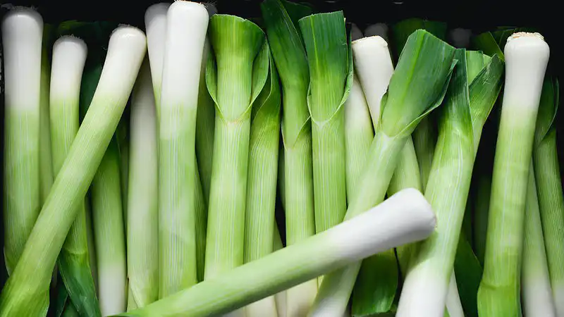 Safra agosto - naminhapanela.com