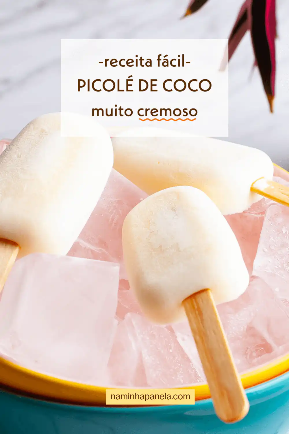Picolé de coco